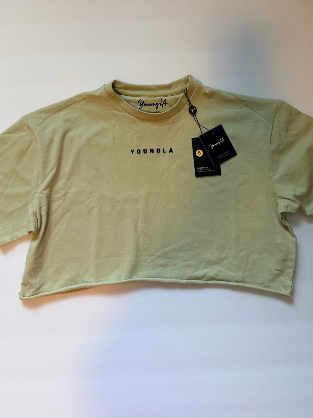 YoungLA Cropped Tee in Sage Green